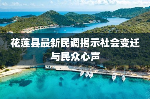 花莲县最新民调揭示社会变迁与民众心声
