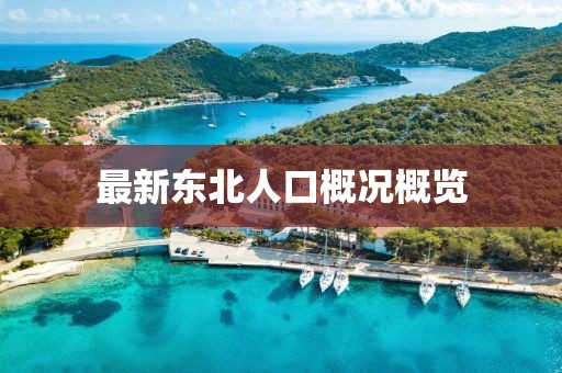 最新东北人口概况概览