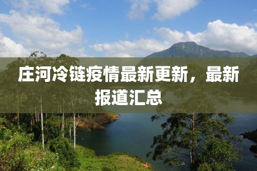 庄河冷链疫情最新更新，最新报道汇总