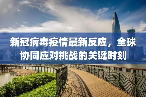 新冠病毒疫情最新反应，全球协同应对挑战的关键时刻