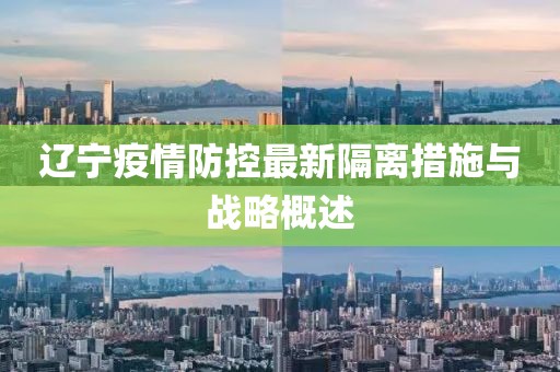 辽宁疫情防控最新隔离措施与战略概述