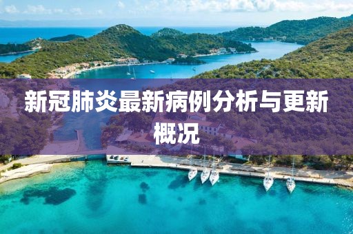 新冠肺炎最新病例分析与更新概况