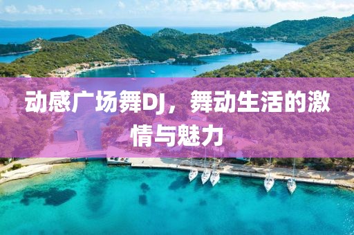 动感广场舞DJ，舞动生活的激情与魅力