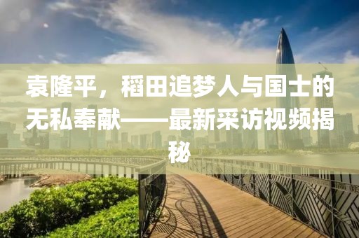 袁隆平，稻田追梦人与国士的无私奉献——最新采访视频揭秘