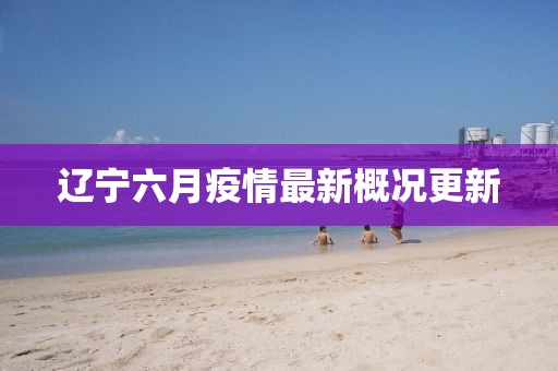 辽宁六月疫情最新概况更新