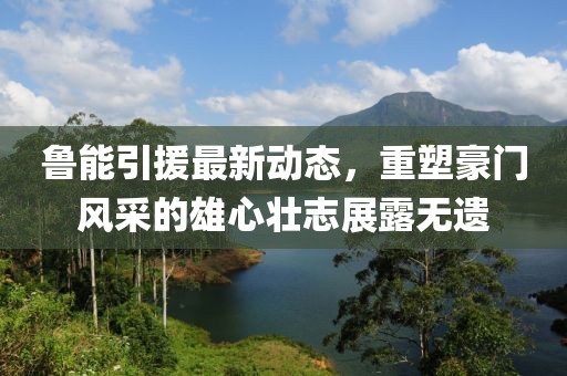 鲁能引援最新动态，重塑豪门风采的雄心壮志展露无遗