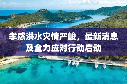 孝感洪水灾情严峻，最新消息及全力应对行动启动