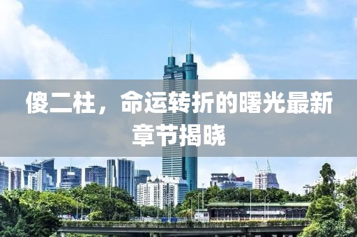 傻二柱，命运转折的曙光最新章节揭晓