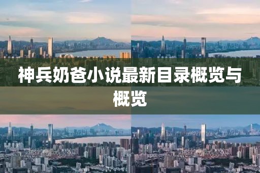 神兵奶爸小说最新目录概览与概览