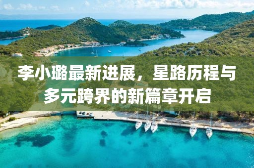 李小璐最新进展，星路历程与多元跨界的新篇章开启