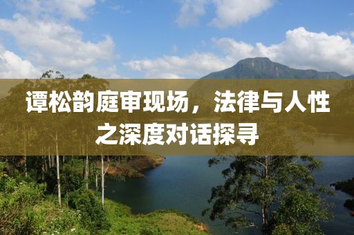 谭松韵庭审现场，法律与人性之深度对话探寻