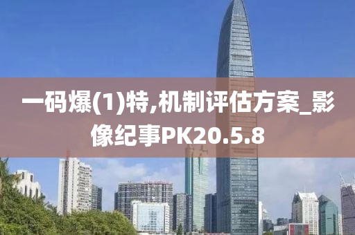 一码爆(1)特,机制评估方案_影像纪事PK20.5.8