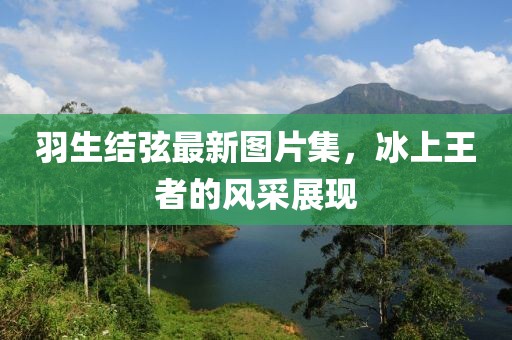 羽生结弦最新图片集，冰上王者的风采展现