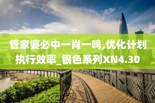管家婆必中一肖一鸣,优化计划执行效率_银色系列XN4.30