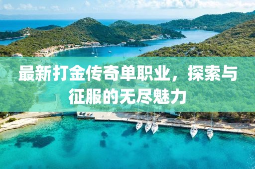最新打金传奇单职业，探索与征服的无尽魅力