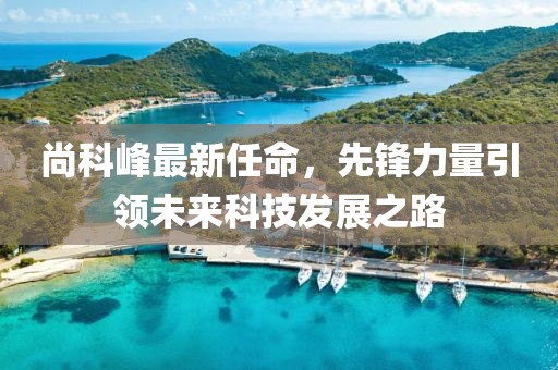 尚科峰最新任命，先锋力量引领未来科技发展之路