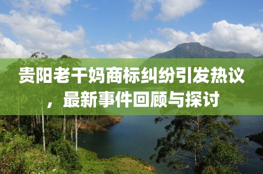 贵阳老干妈商标纠纷引发热议，最新事件回顾与探讨