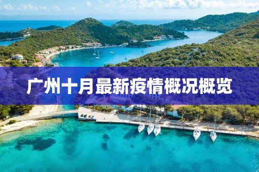 广州十月最新疫情概况概览