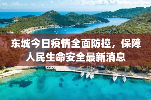 东城今日疫情全面防控，保障人民生命安全最新消息