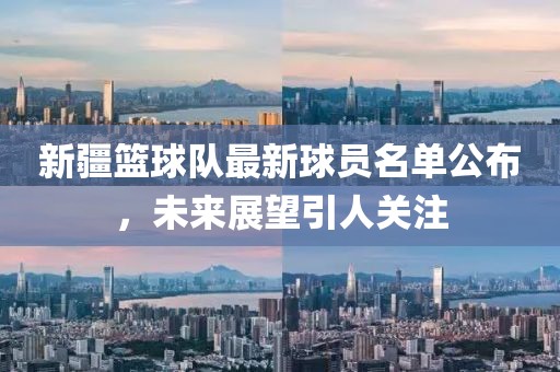 新疆篮球队最新球员名单公布，未来展望引人关注
