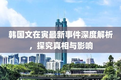 韩国文在寅最新事件深度解析，探究真相与影响
