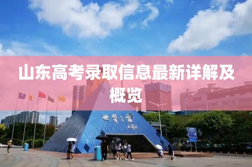 山东高考录取信息最新详解及概览
