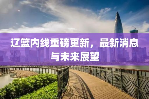 辽篮内线重磅更新，最新消息与未来展望