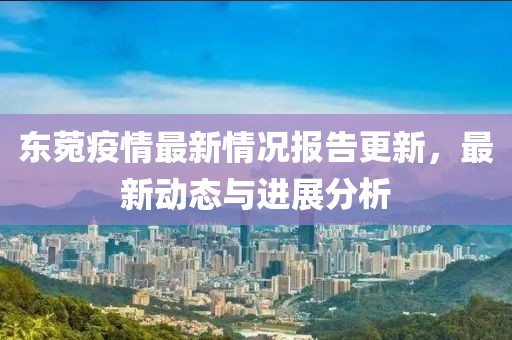 东菀疫情最新情况报告更新，最新动态与进展分析