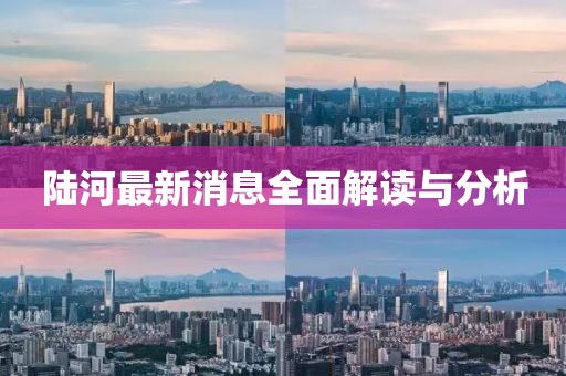 陆河最新消息全面解读与分析