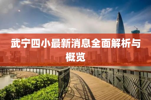 武宁四小最新消息全面解析与概览