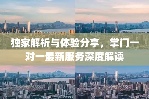 独家解析与体验分享，掌门一对一最新服务深度解读