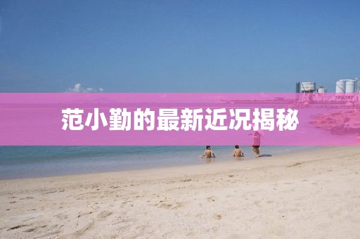 范小勤的最新近况揭秘