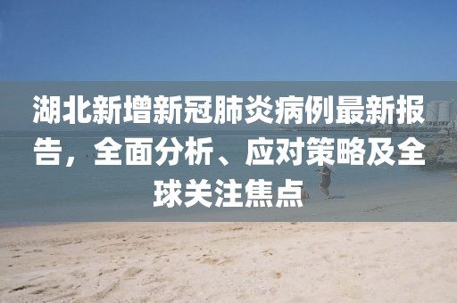 湖北新增新冠肺炎病例最新报告，全面分析、应对策略及全球关注焦点