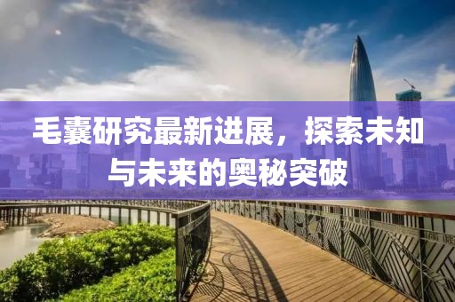 毛囊研究最新进展，探索未知与未来的奥秘突破