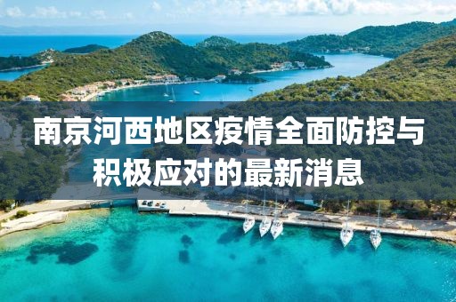 南京河西地区疫情全面防控与积极应对的最新消息