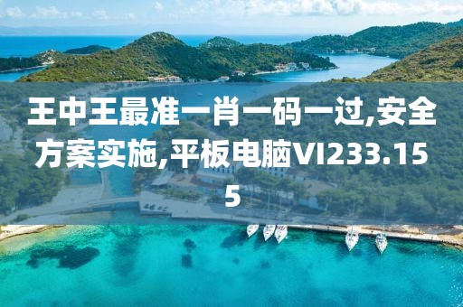 王中王最准一肖一码一过,安全方案实施,平板电脑VI233.155