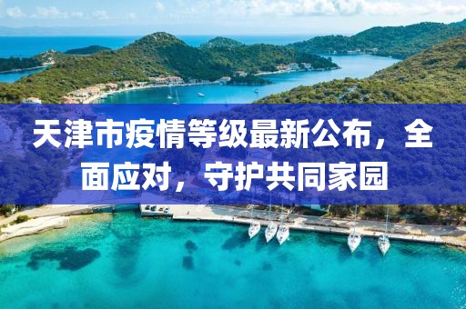 天津市疫情等级最新公布，全面应对，守护共同家园
