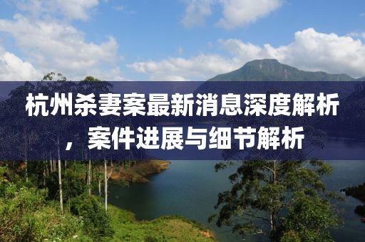 杭州杀妻案最新消息深度解析，案件进展与细节解析