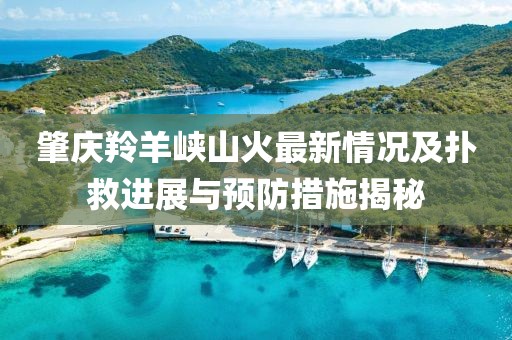 肇庆羚羊峡山火最新情况及扑救进展与预防措施揭秘