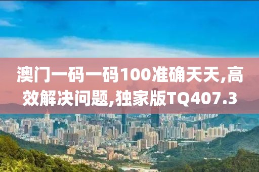 澳门一码一码100准确天天,高效解决问题,独家版TQ407.3
