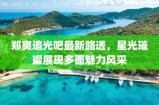 郑爽追光吧最新路透，星光璀璨展现多面魅力风采