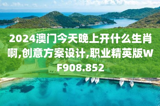2024澳门今天晚上开什么生肖啊,创意方案设计,职业精英版WF908.852