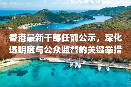 香港最新干部任前公示，深化透明度与公众监督的关键举措