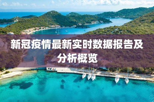 新冠疫情最新实时数据报告及分析概览