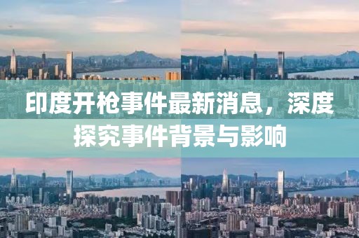 印度开枪事件最新消息，深度探究事件背景与影响