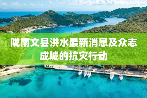 陇南文县洪水最新消息及众志成城的抗灾行动