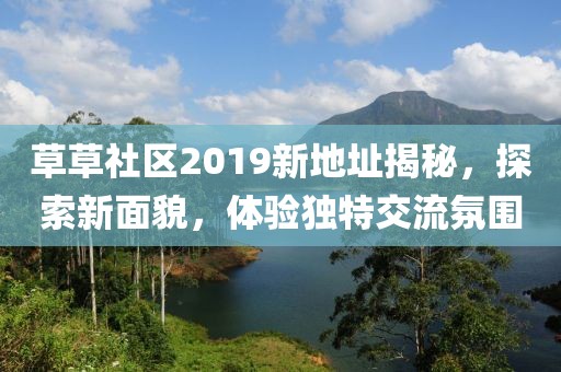 草草社区2019新地址揭秘，探索新面貌，体验独特交流氛围
