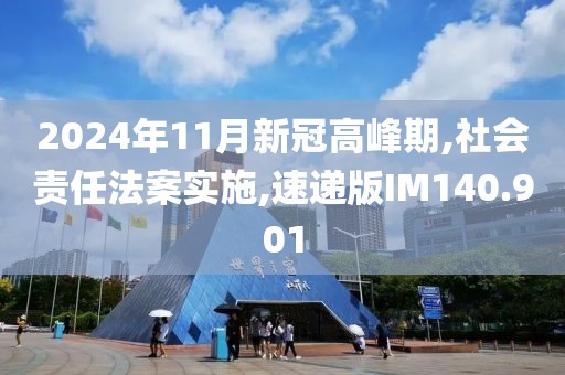 2024年11月新冠高峰期,社会责任法案实施,速递版IM140.901