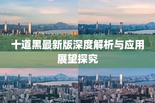 十道黑最新版深度解析与应用展望探究