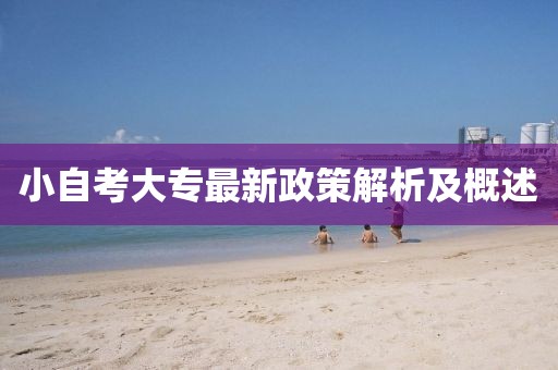 小自考大专最新政策解析及概述